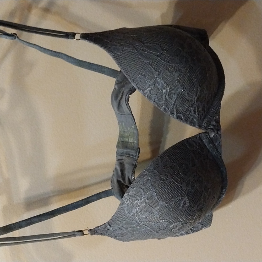 36B Daisy Fuentes Pushup Bra